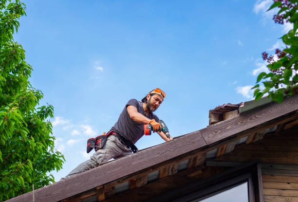 Fast & Reliable Emergency Roof Repairs in Dogtown, CA
